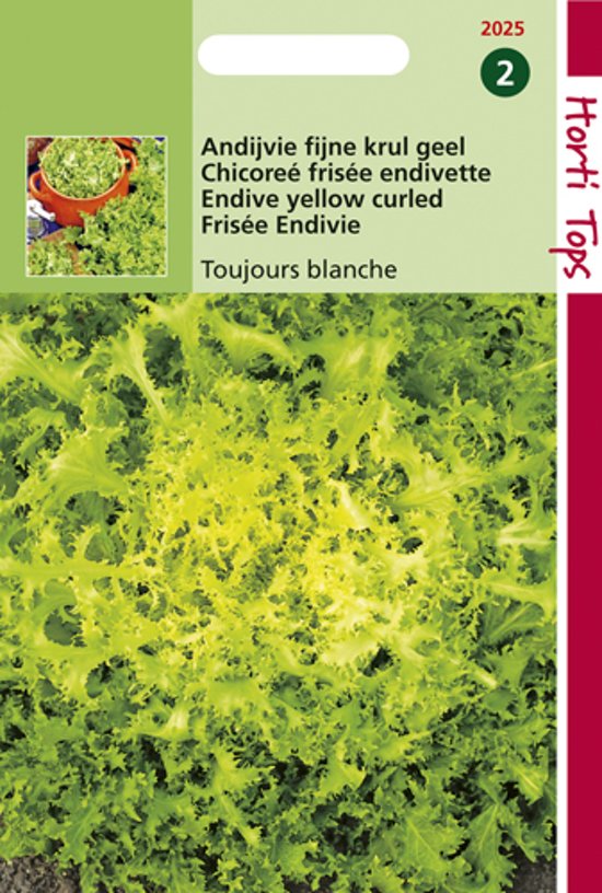 Krulandijvie fijne krul (Cichorium) 1800 zaden